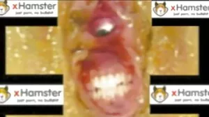 gay pron video partouze vieux vr